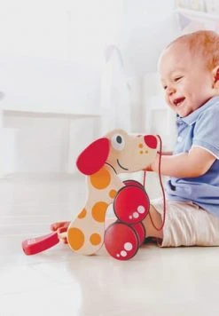 Hape Nachziehhund "Pepe"" -lernspielzeug Verkäufe 2022 unnamed file 1146