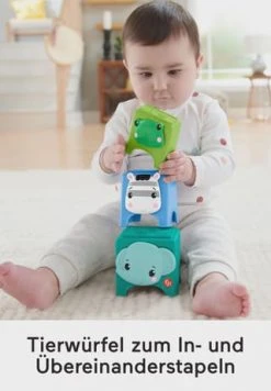Fisher-price Aktivitätsspielzeug "Feinmotorik-Geschenkset", Mit Sound -lernspielzeug Verkäufe 2022 unnamed file 1226