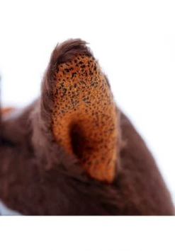 Sigikid® BeastsTown Kuscheltier, Fuchs "Never Let You Go", 21 Cm -lernspielzeug Verkäufe 2022 unnamed file 594